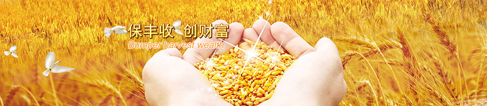 質(zhì)量保證 優(yōu)質(zhì)服務(wù) 求實(shí)創(chuàng)新