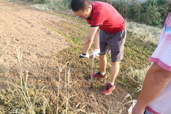 現(xiàn)場取土——測(cè)土配方